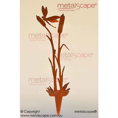 Metalscape - Metal Garden Art - Gardenscape -Dragonfly and 2 Bulrush Reed - 3mm Corten Steel -Rust
