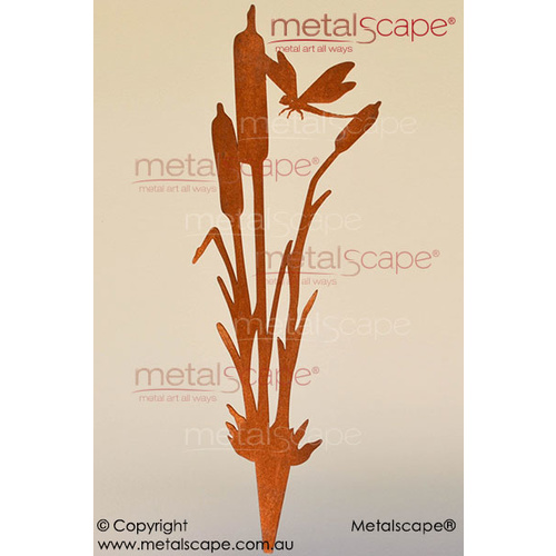 Metalscape - Metal Garden Art - Gardenscape -Dragonfly and 3 Bulrush Reed - 3mm Corten Steel - Rust
