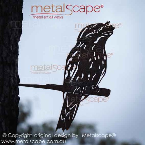 Tawny Frogmouth on tree mount spike
