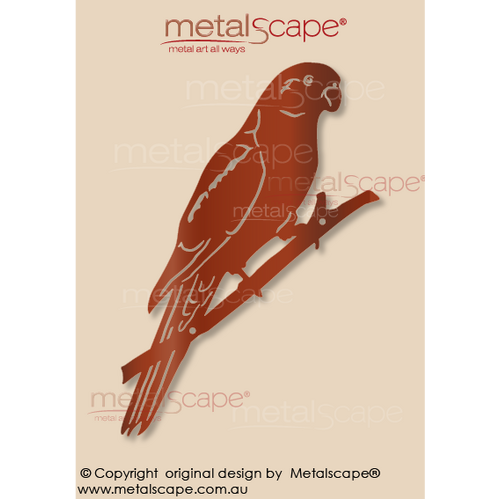 Metalscape - Metal Garden Art - Gardenscape -King Parrot Wall Mount