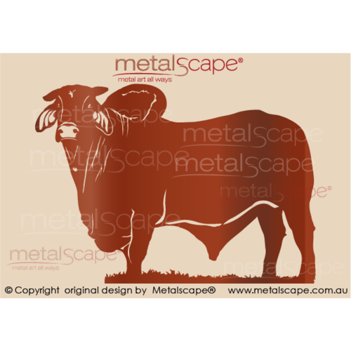 Countryscape - Metalscape - Metal Art - Farm-Brahman Bull - Large Size