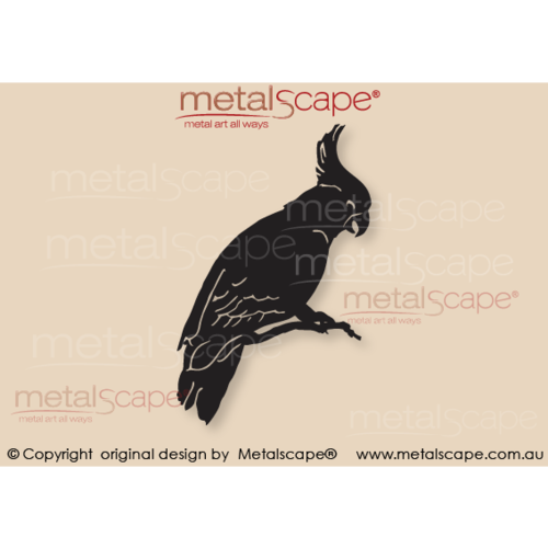 Metalscape - Metal Garden Art - Gardenscape -White Sulphur Crested Cockatoo Sitting Wall Art